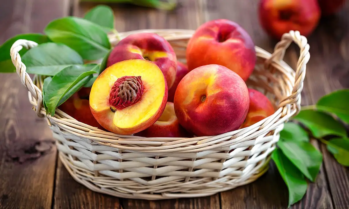 Everything you need to know about Peaches