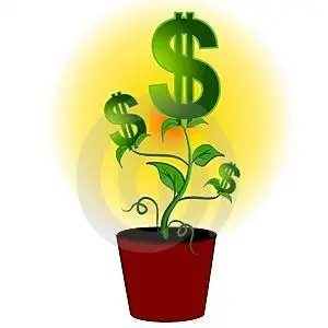The money or dollar plant