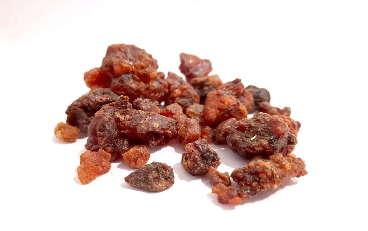 What is myrrh and what is it for: Uses and benefits