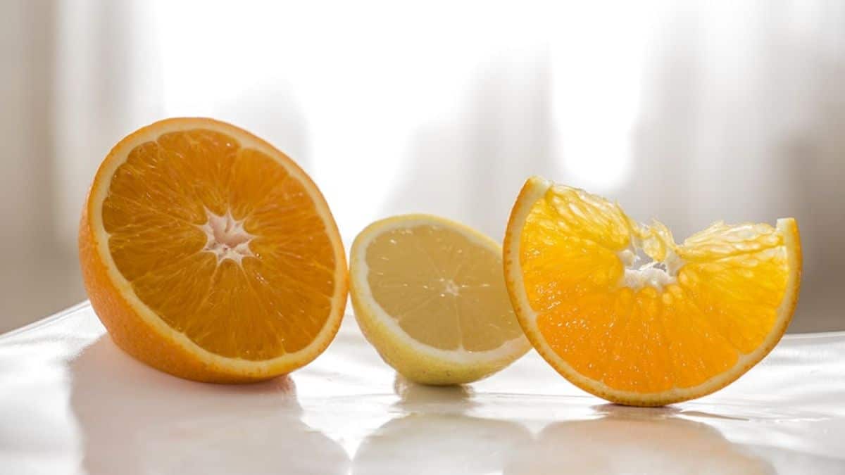 Navelina orange: main characteristics and care