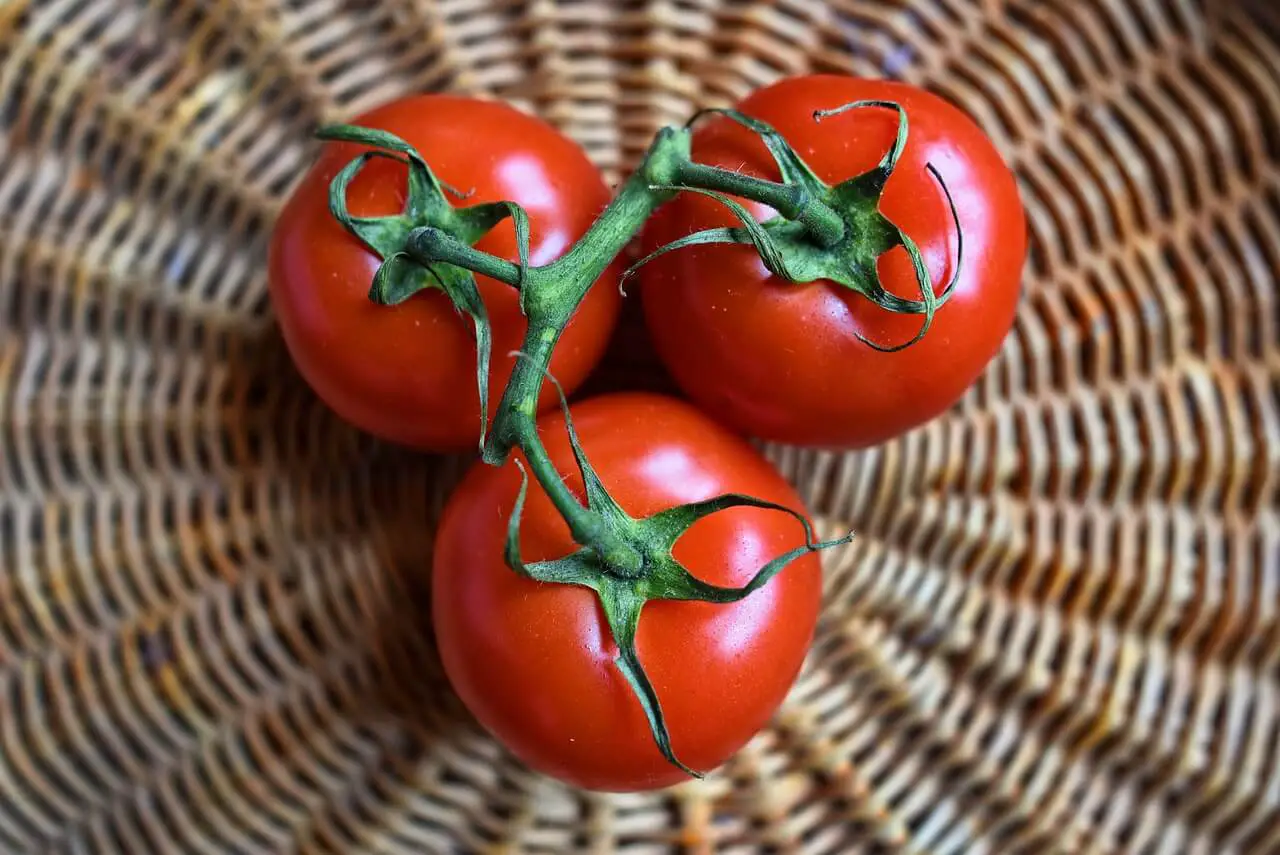 What is the best tomato in Spain?