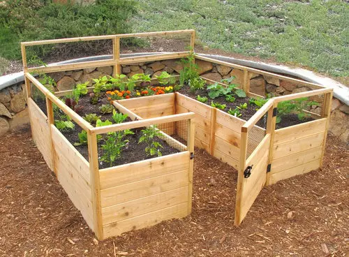 5 Tips for Beginners to Grow More Food in a Small Garden