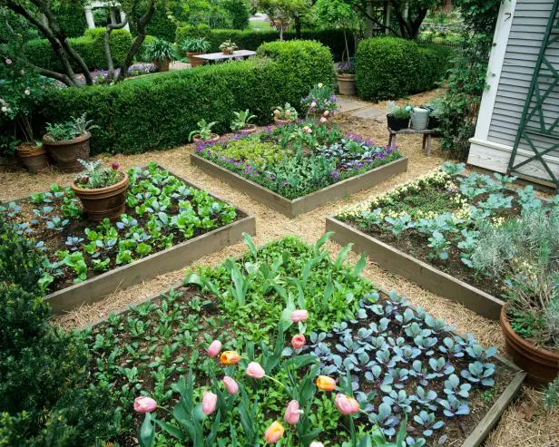 Garden Irrigation Myths
