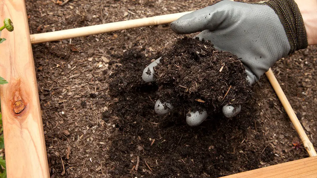 How to Make Your Own High-Quality Compost