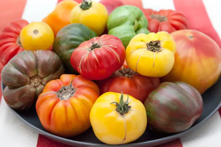 Growing Heirloom Tomatoes In Pots