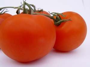 10 Tips for Planting Tomatoes