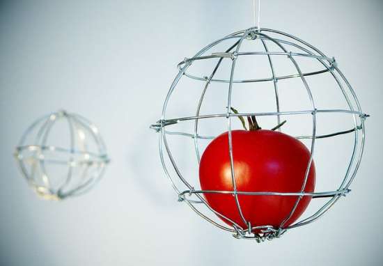 6 Ways to Build Your Own Tomato Cages