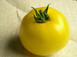 Guide to Growing Lemon Boy Tomatoes