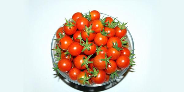 Discover The Health Benefits of Cherry Tomatoes