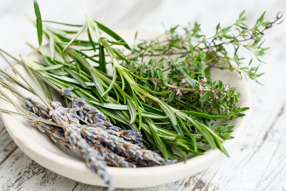 3 simple steps to Preserve Herbs at home
