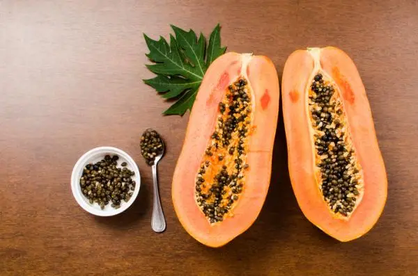 How to grow papaya