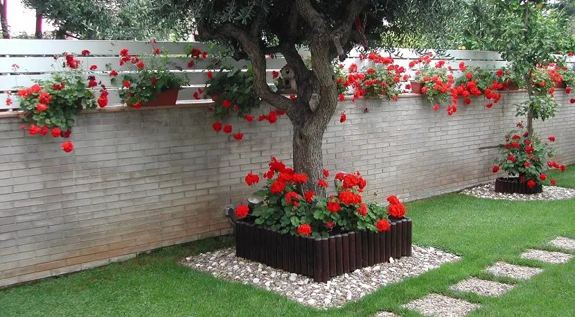 Simple ideas to decorate a beautiful patio or garden