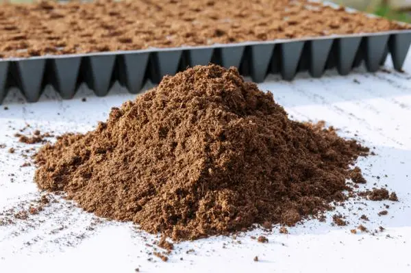 Peat: what is it, types, and how to use it