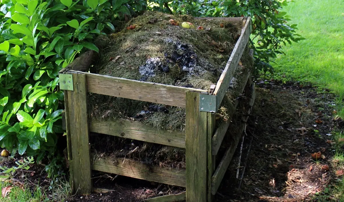 How to make homemade compost