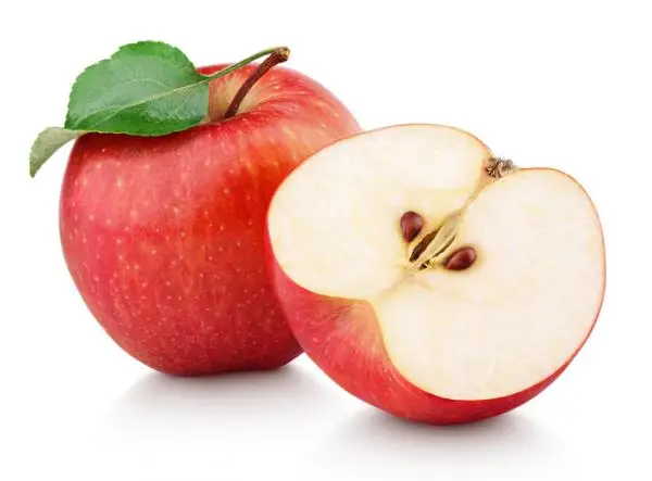 Germinate apple seeds: how to do it and care