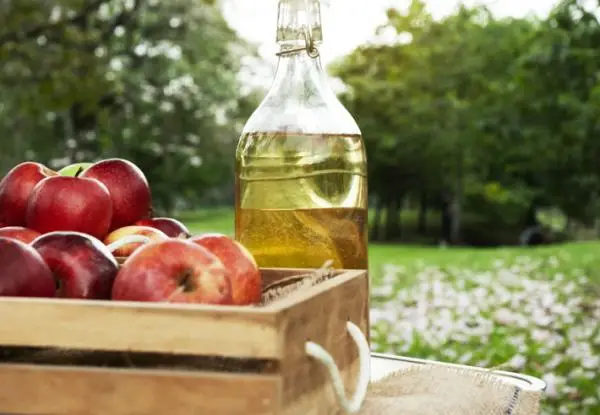 Vinegar for plants: benefits and how to use it