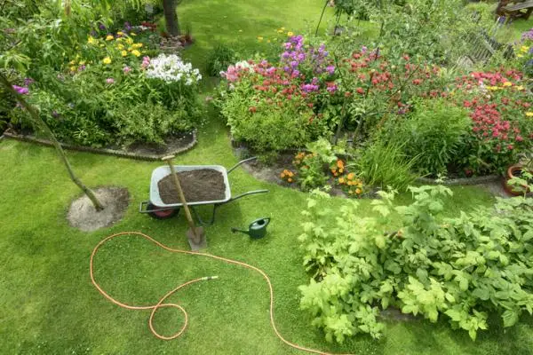 Arrange a garden, how to do it? – ideas and tips