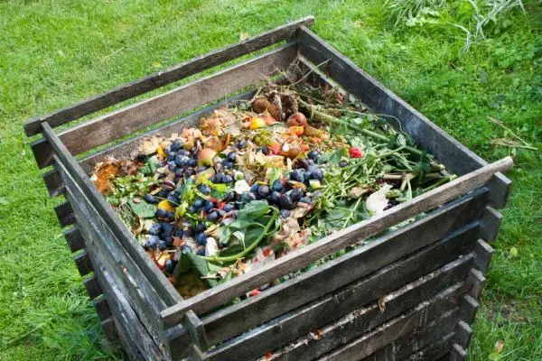 Bokashi or Bocashi compost: what is it and how to make it