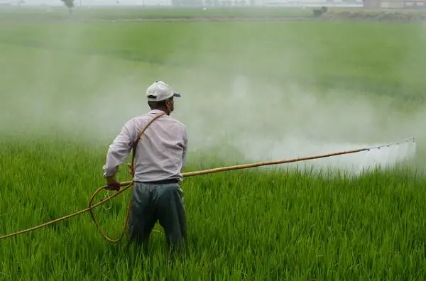 Pesticides: what are they, types and use