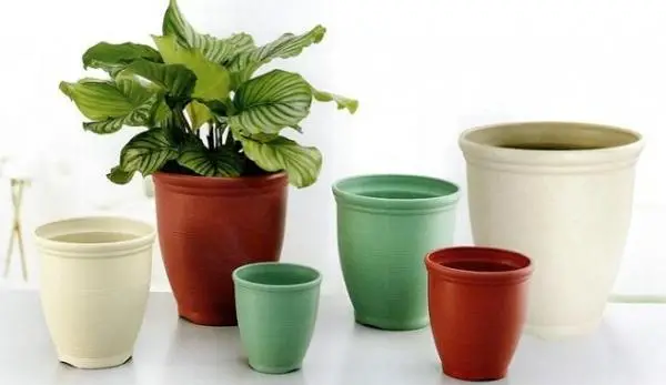 Advantages and disadvantages of plastic pots