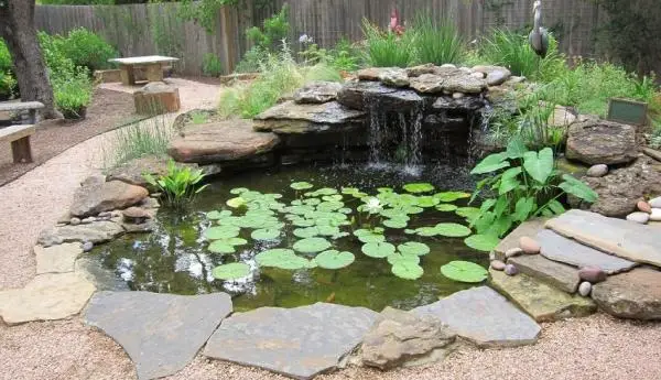 Tips for good maintenance of your pond