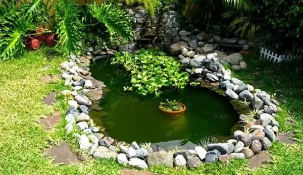 Solutions against green water in ponds