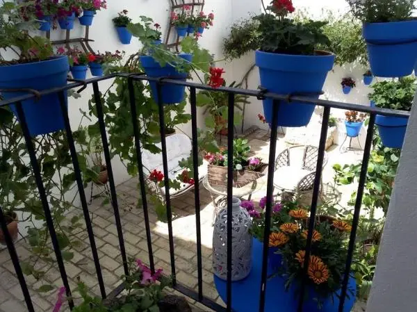 How to decorate Andalusian patios