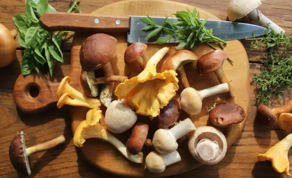 What are edible mushrooms?
