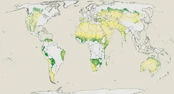 How many trees are there in the world? More than previously thought