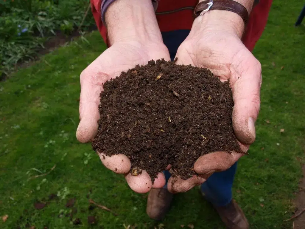 How to make compost?