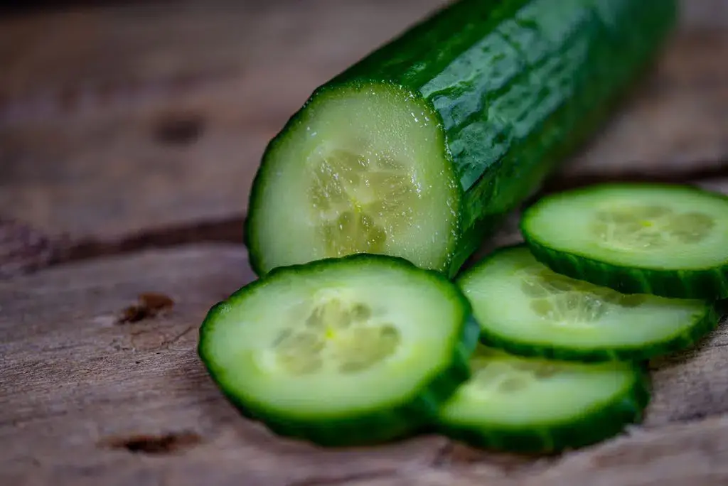 Dutch cucumber