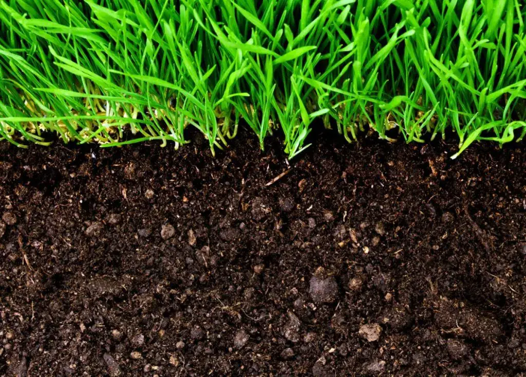 What is soil and why is it important to plants?
