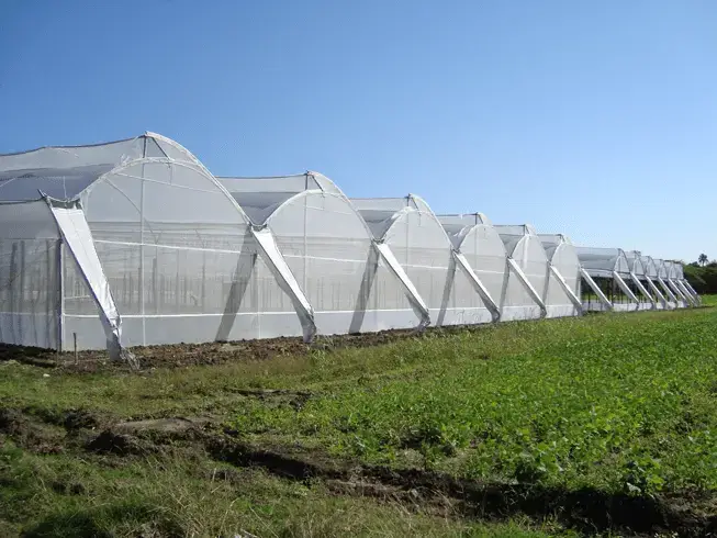 Climate Control in Greenhouses