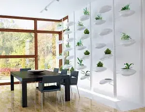 How to make my own hydroponic garden?