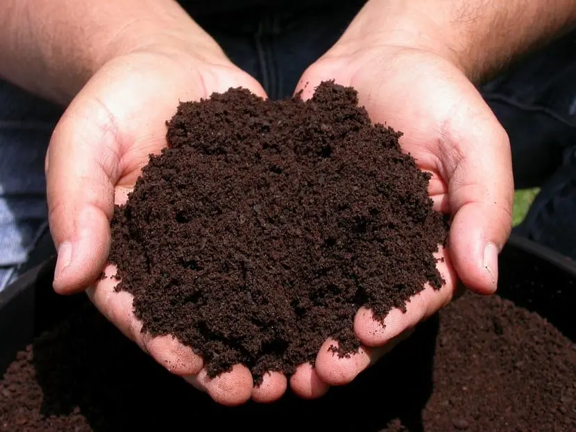 Types of natural fertilizers to have fertile land