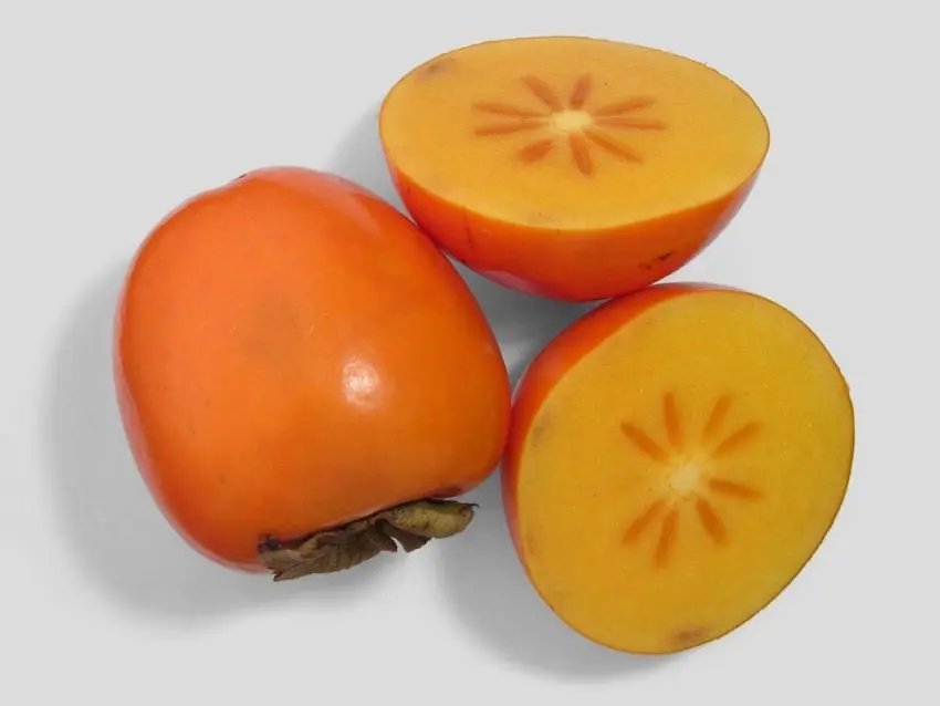 Persimmon varieties