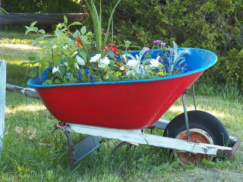 Garden design step by step (XV) – How to recycle a wheelbarrow