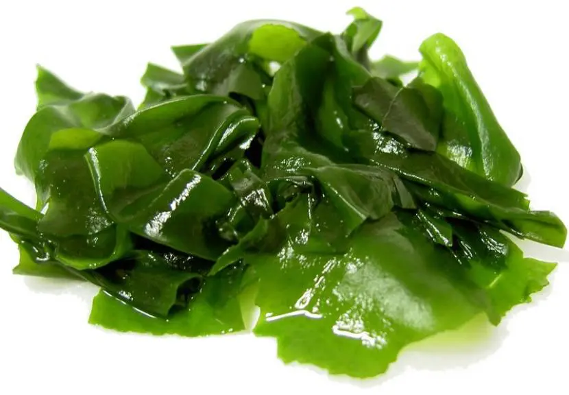 How to make seaweed extract