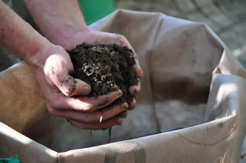 How to make compost step by step