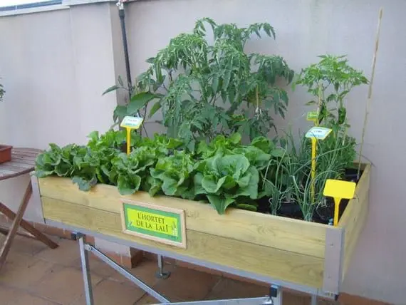 Types of cultivation tables