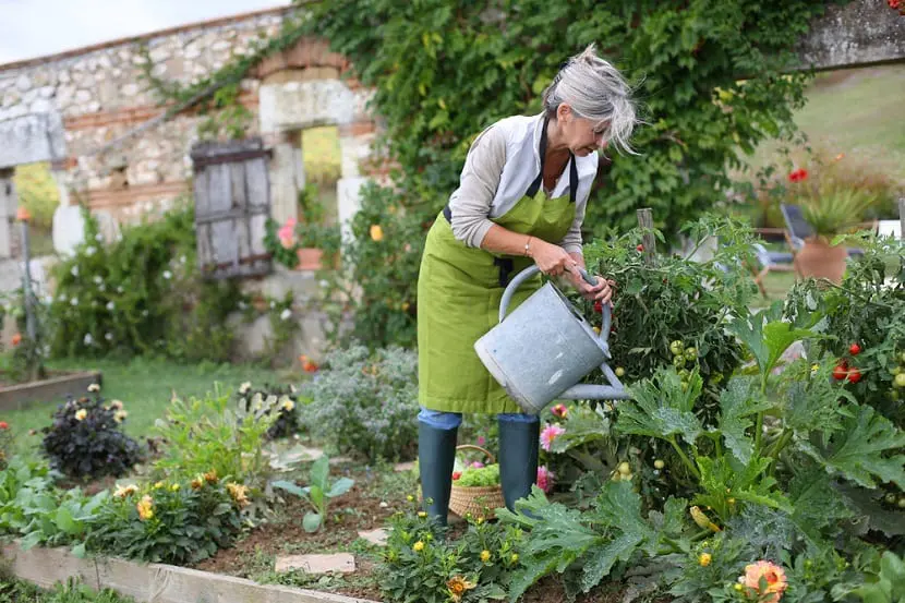 Organic gardening is good for biodiversity