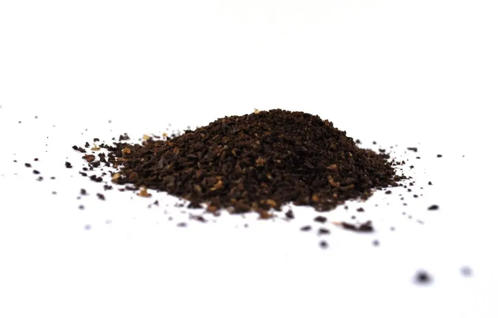 How to use coffee grounds to take care of plants