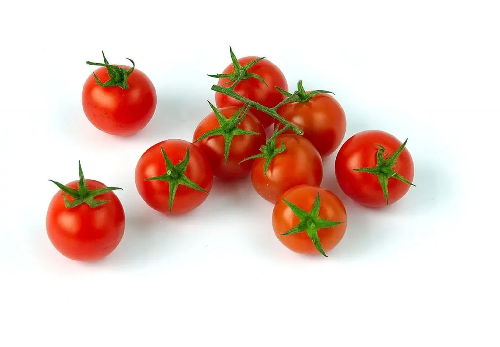 Learn to grow cherry tomato