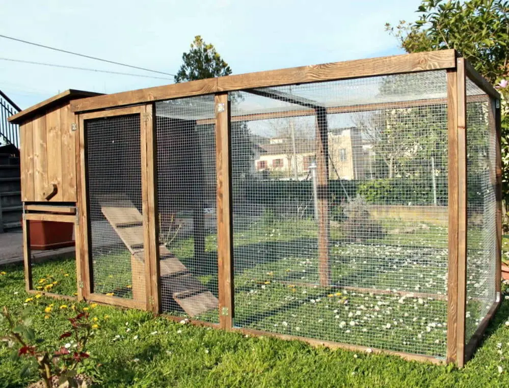 How to make a chicken coop in your garden