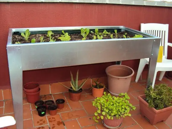 Cultivation tables to have a garden at home
