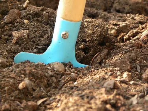 Soil conditions for cultivation: more about water retention