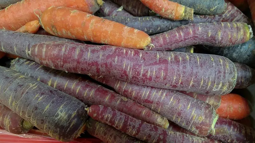 Purple carrots, properties and benefits