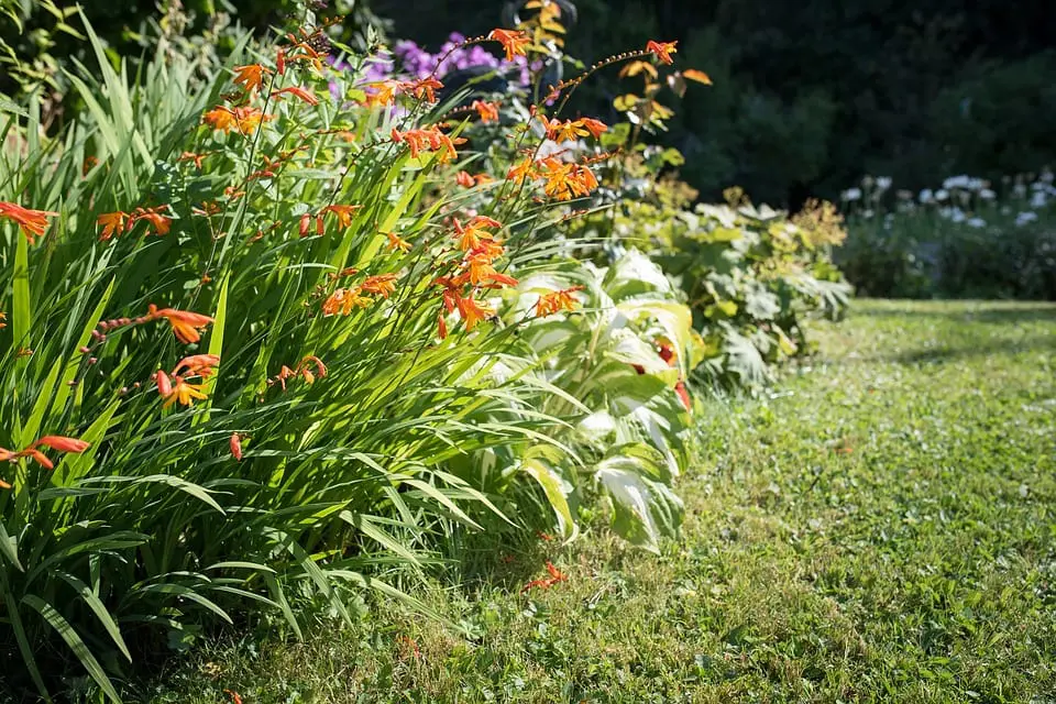 Tips to enjoy the garden in summer