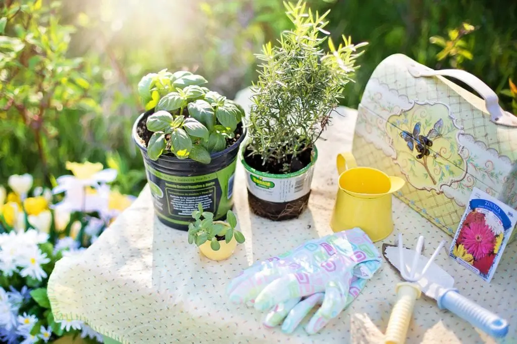12 gardening hacks for newbies