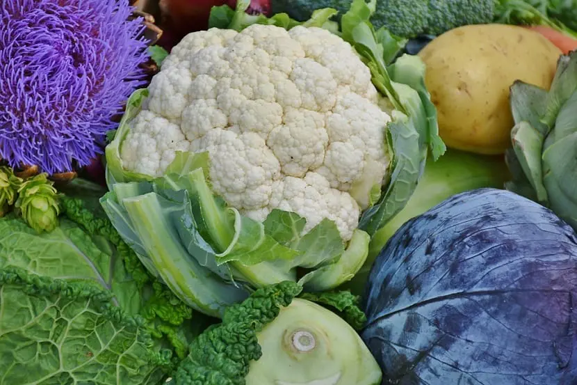 Cauliflower: all about this plant